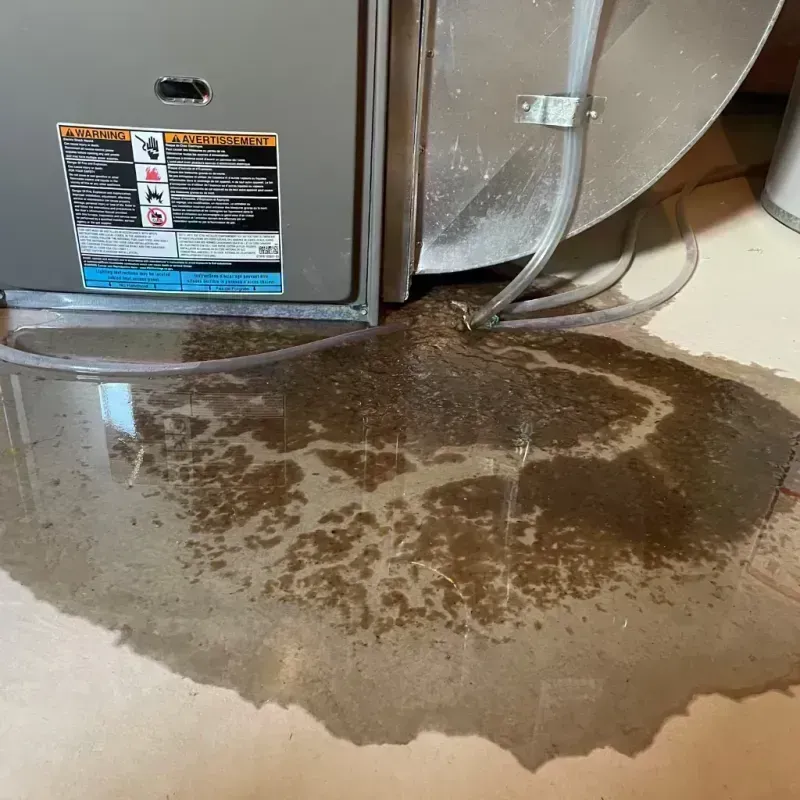 Appliance Leak Cleanup in Northwoods, MO